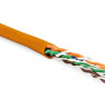 Кабель витая пара неэкранир. U/UTP кат. 6 4 пары (24 AWG) мж (patсh) без разделителя PVC нг(А)-HF -5град.C-+60град.C UUTP4-C6-P24-NCR-IN-PVC-OR-100 Оранж (уп.100м) Hyperline 444316